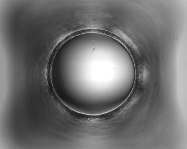 X0000096401264200801241153