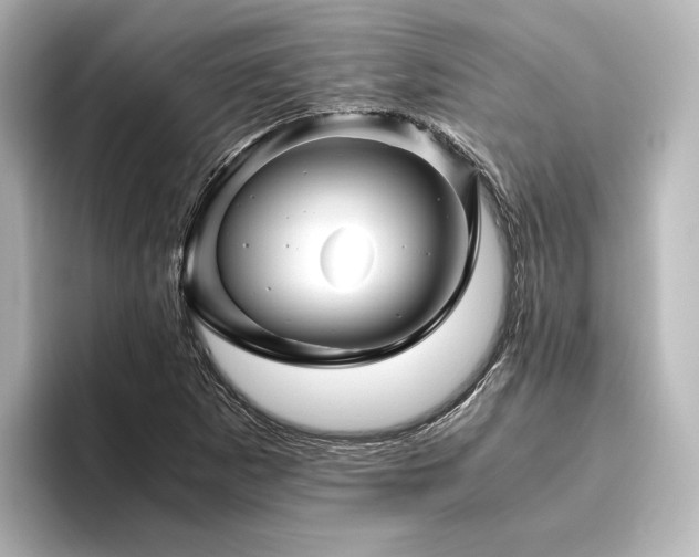 X0000096401265200801241153