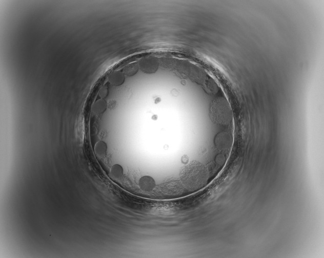 X0000096401267200801241153