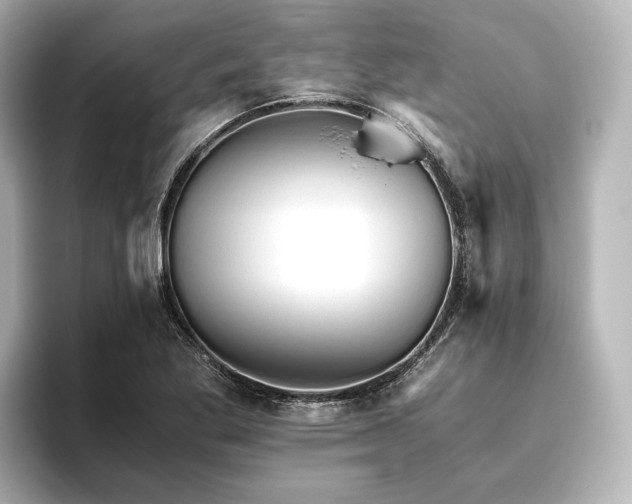 X0000096401269200801241153