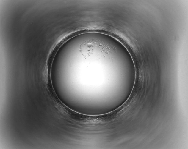 X0000096401270200801241153