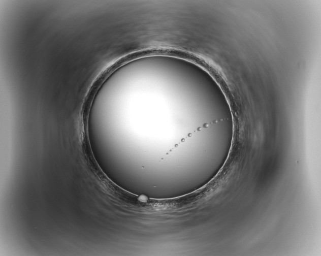 X0000096401271200801241153