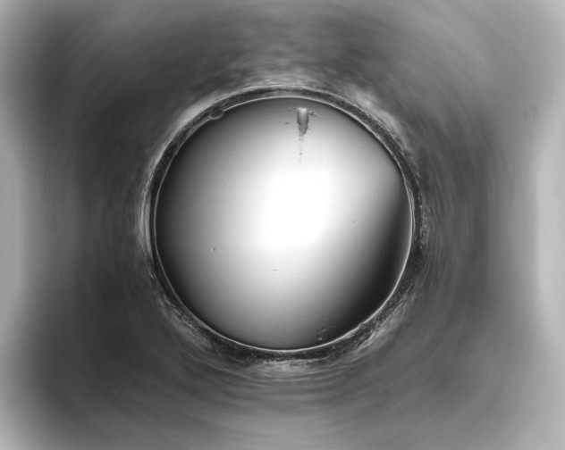 X0000096401272200801241153