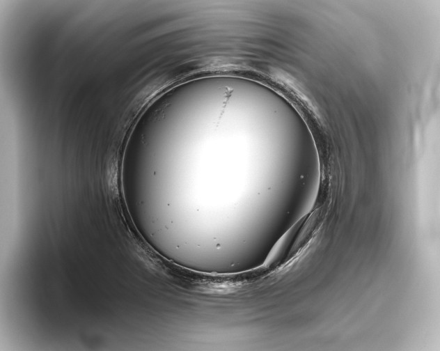 X0000096401273200801241153