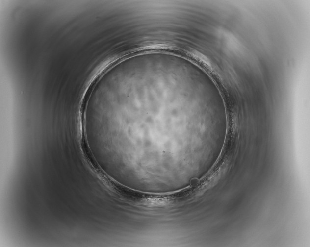 X0000096401274200801241153