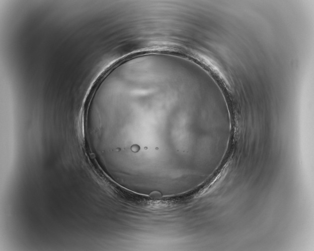 X0000096401275200801241153