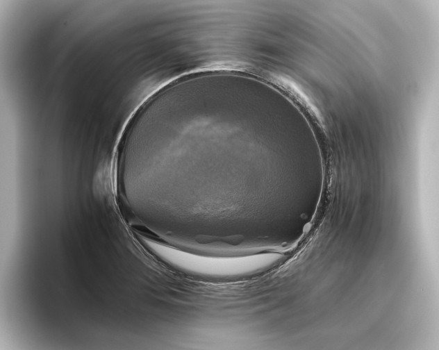 X0000096401276200801241153