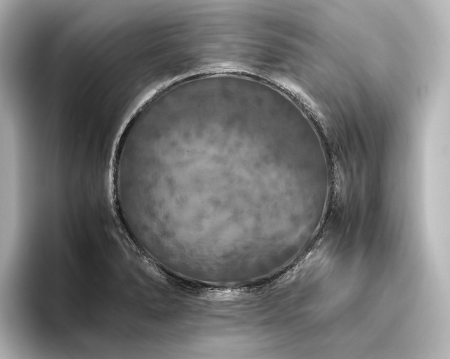 X0000096401278200801241153