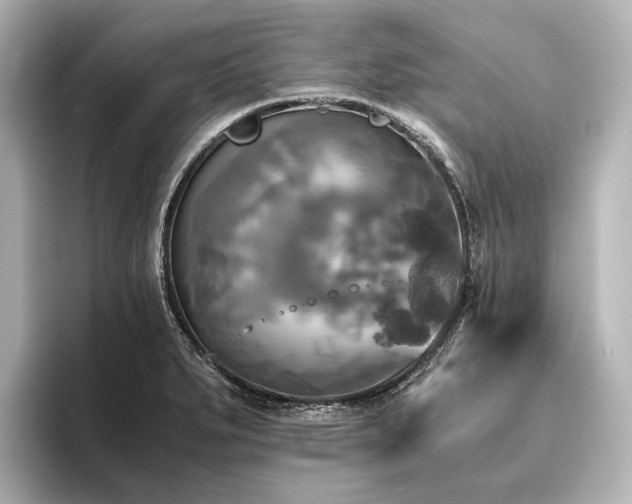 X0000096401279200801241153