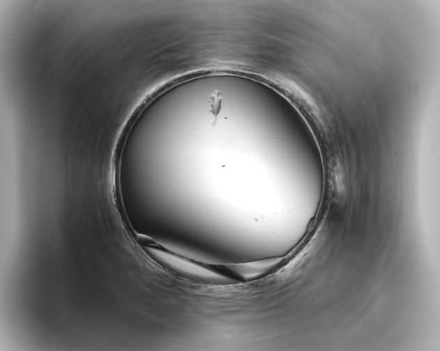 X0000096401280200801241153