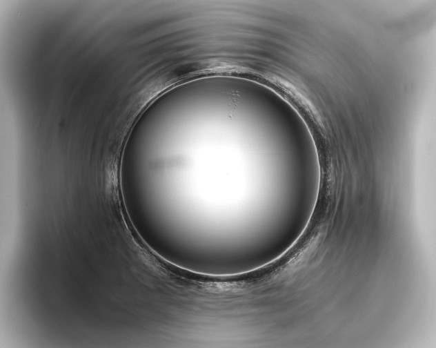 X0000096401281200801241153