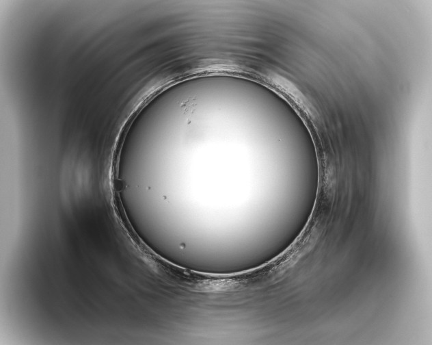 X0000096401282200801241153