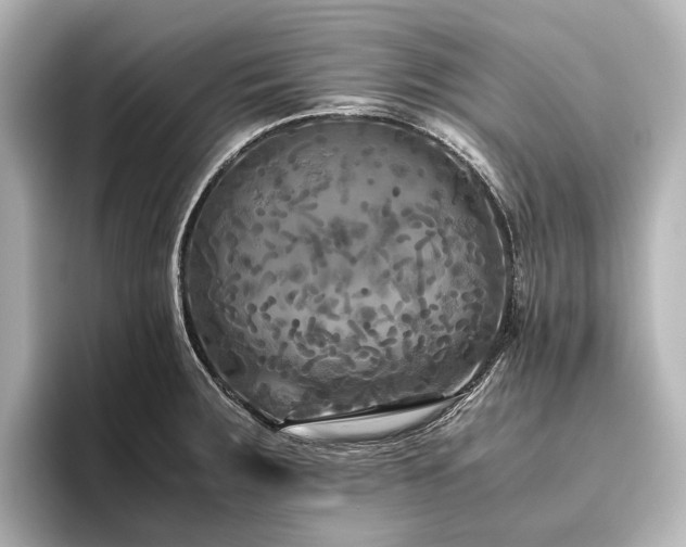 X0000096401283200801241153
