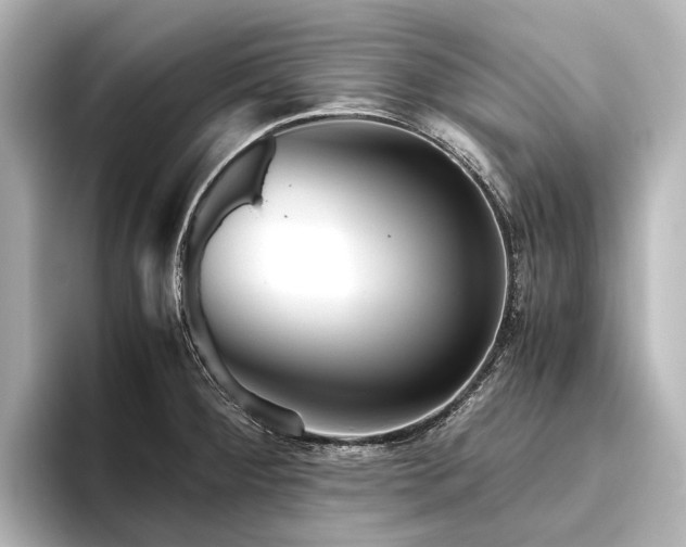 X0000096401284200801241153