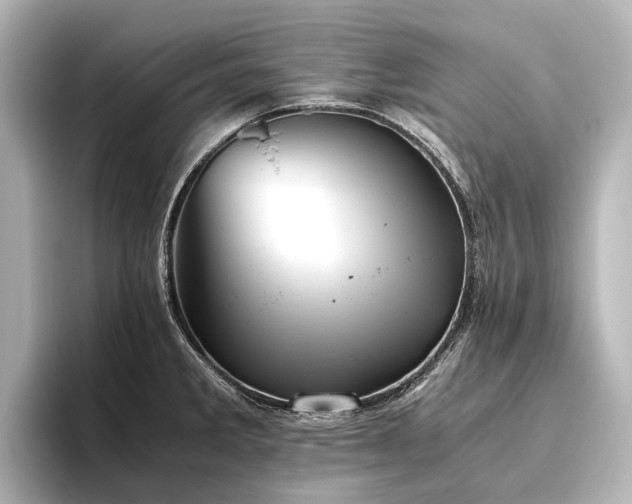 X0000096401285200801241153