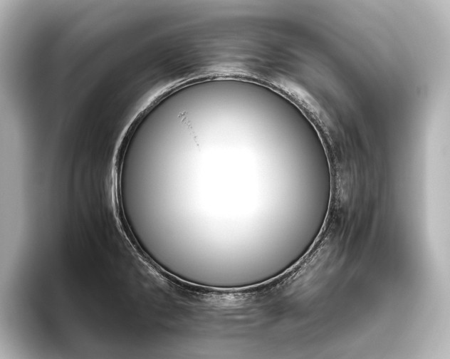 X0000096401286200801241153