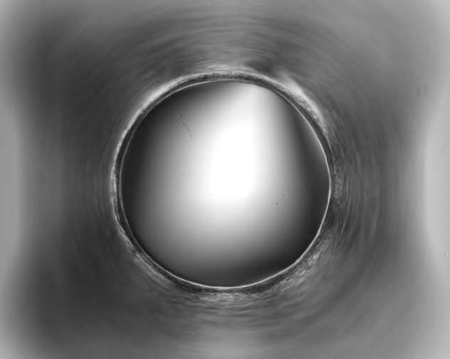 X0000096401287200801241153