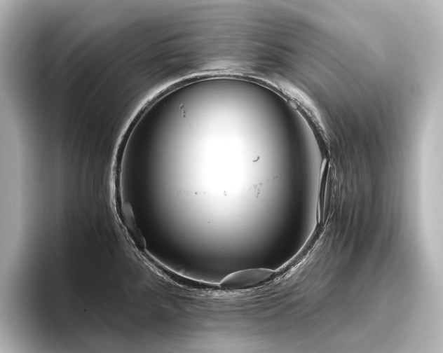 X0000096401288200801241153