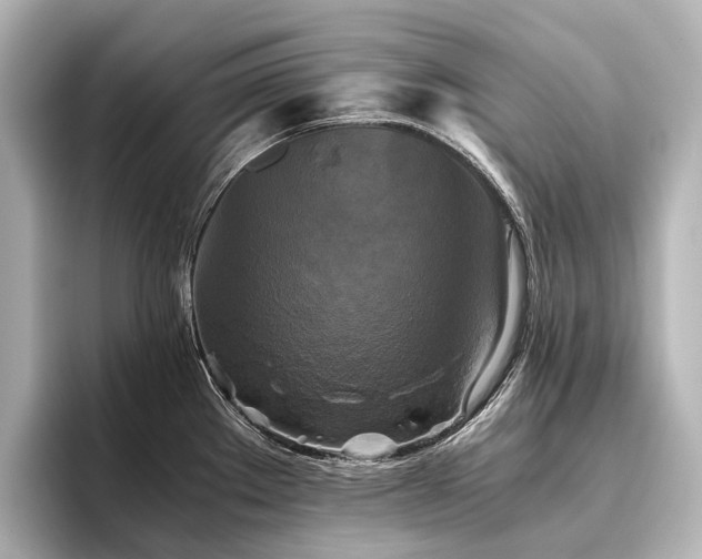 X0000096401289200801241153