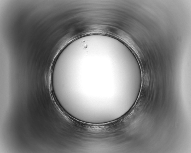 X0000096401290200801241153