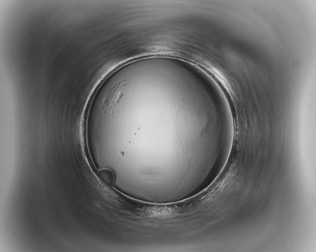 X0000096401291200801241153