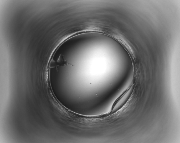 X0000096401292200801241153