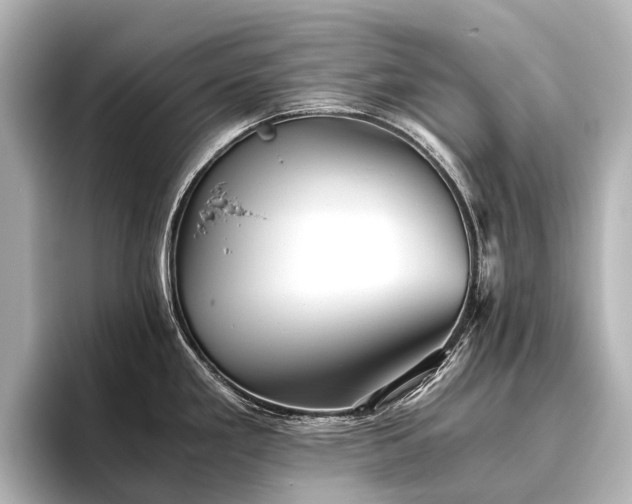 X0000096401293200801241153