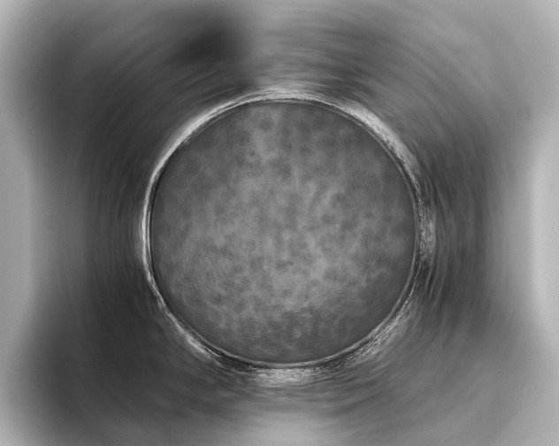 X0000096401294200801241153