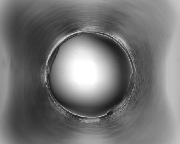 X0000096401296200801241153