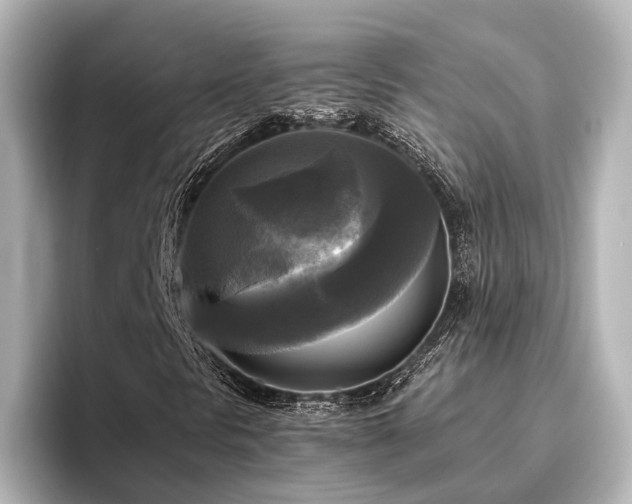 X0000096401297200801241152