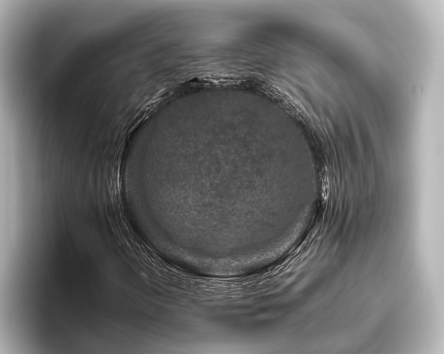 X0000096401298200801241152