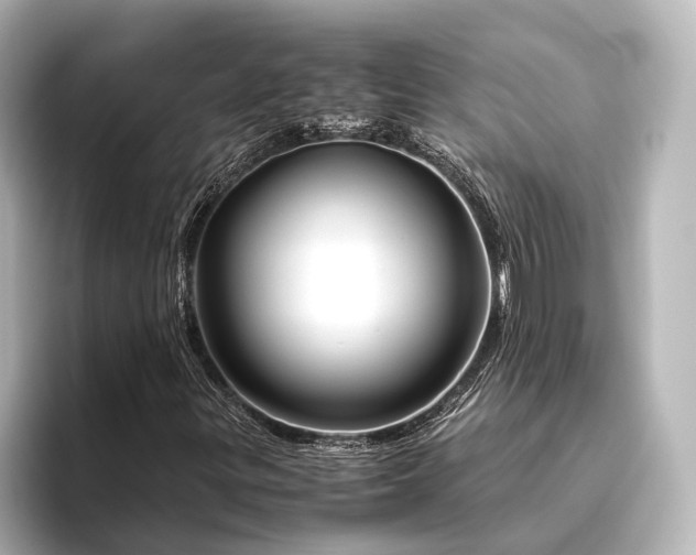 X0000096401299200801241152