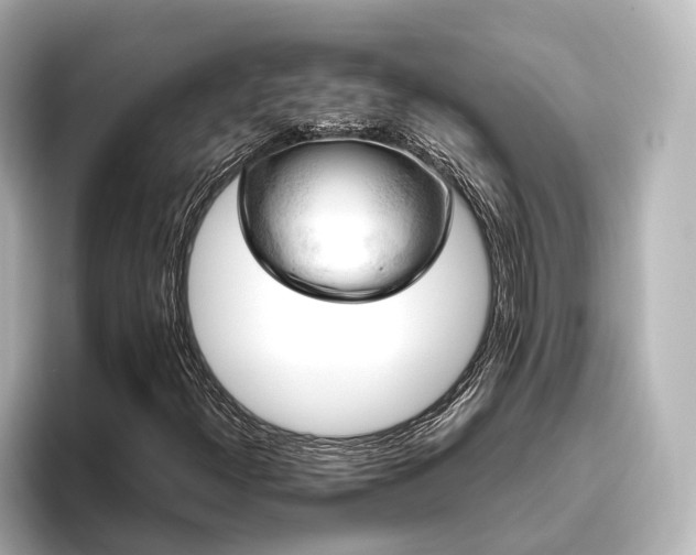 X0000096401300200801241152