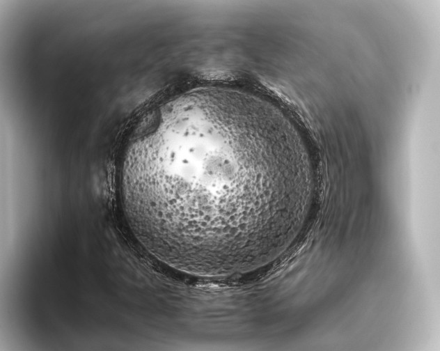 X0000096401301200801241152