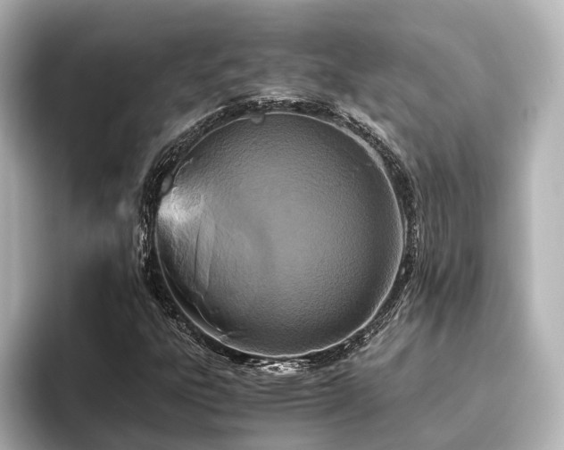 X0000096401303200801241152