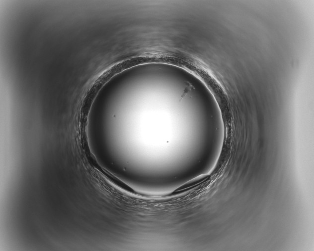 X0000096401304200801241152