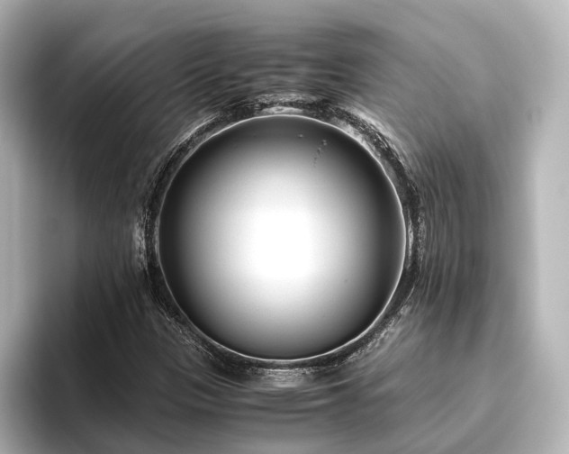 X0000096401305200801241153