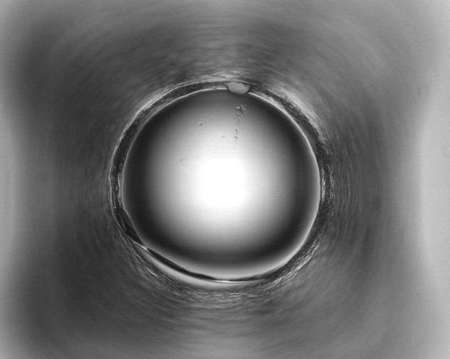 X0000096401308200801241153