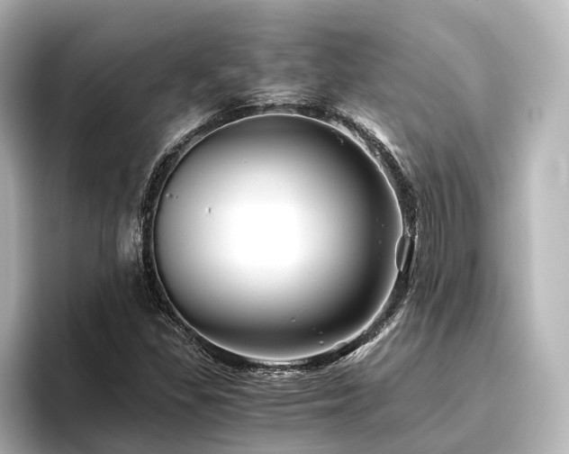 X0000096401309200801241153