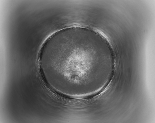 X0000096401310200801241153