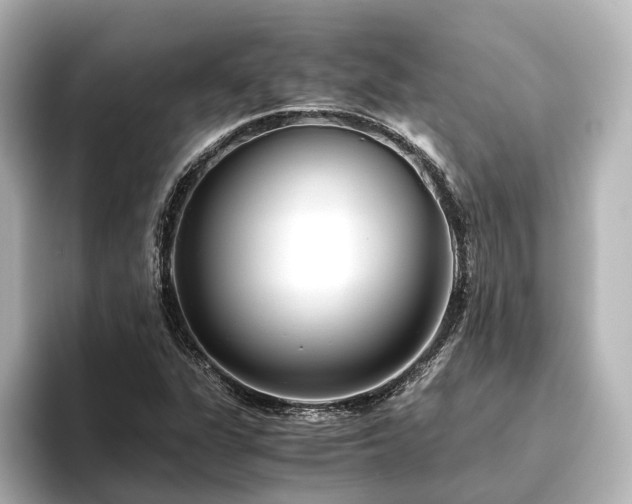 X0000096401311200801241153