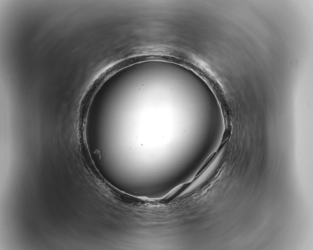 X0000096401312200801241153