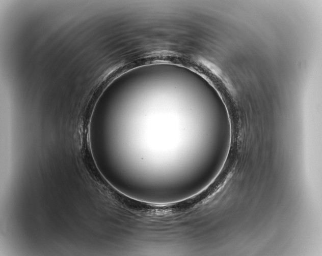 X0000096401313200801241153