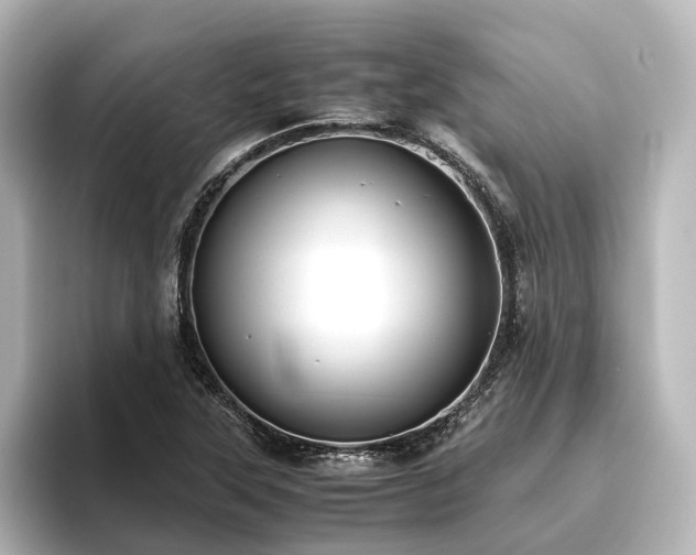 X0000096401315200801241153