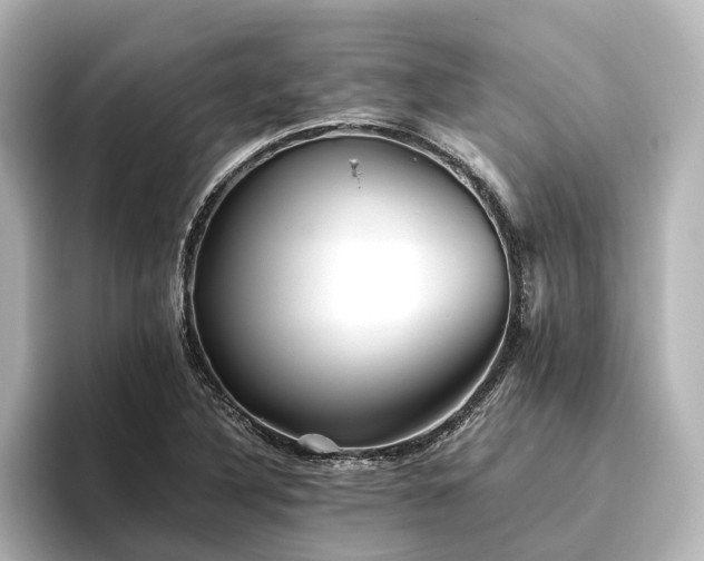 X0000096401316200801241153