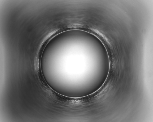 X0000096401317200801241153