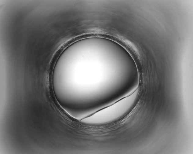 X0000096401318200801241153