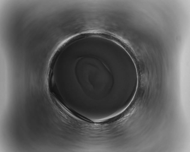 X0000096401319200801241153