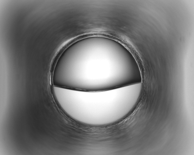 X0000096401320200801241153