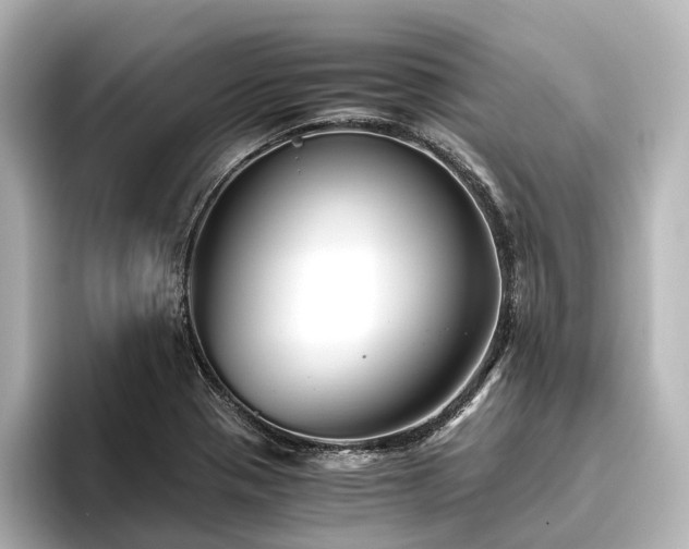 X0000096401321200801241153